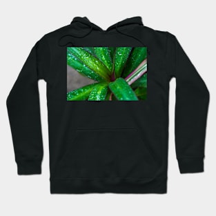 GREEN LEAVES Hoodie